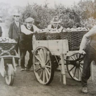 College History Part 2