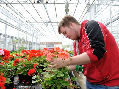 Myerscough College Horticulture