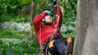 Image for news article: FEATURE: Climb to the top with a study programme in arboriculture
