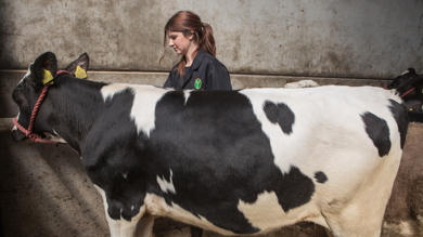 Image for news article: Skelton Show