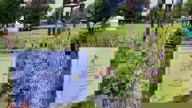 Southport Flower Show - last years gardens