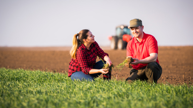 Image for news article: Myerscough collaborating on major climate change project