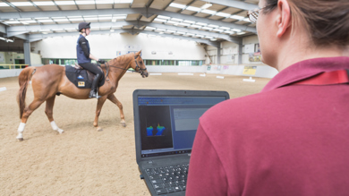 Image for news article: Equine degree research presented at national conference