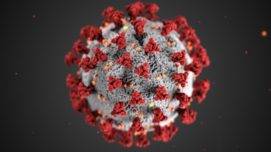 Image for news article: STATEMENT REGARDING NEW COVID-19 RESTRICTIONS