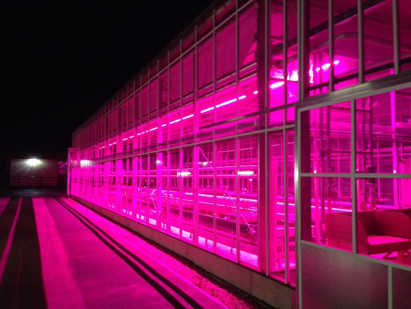 Myerscough College Horticulture