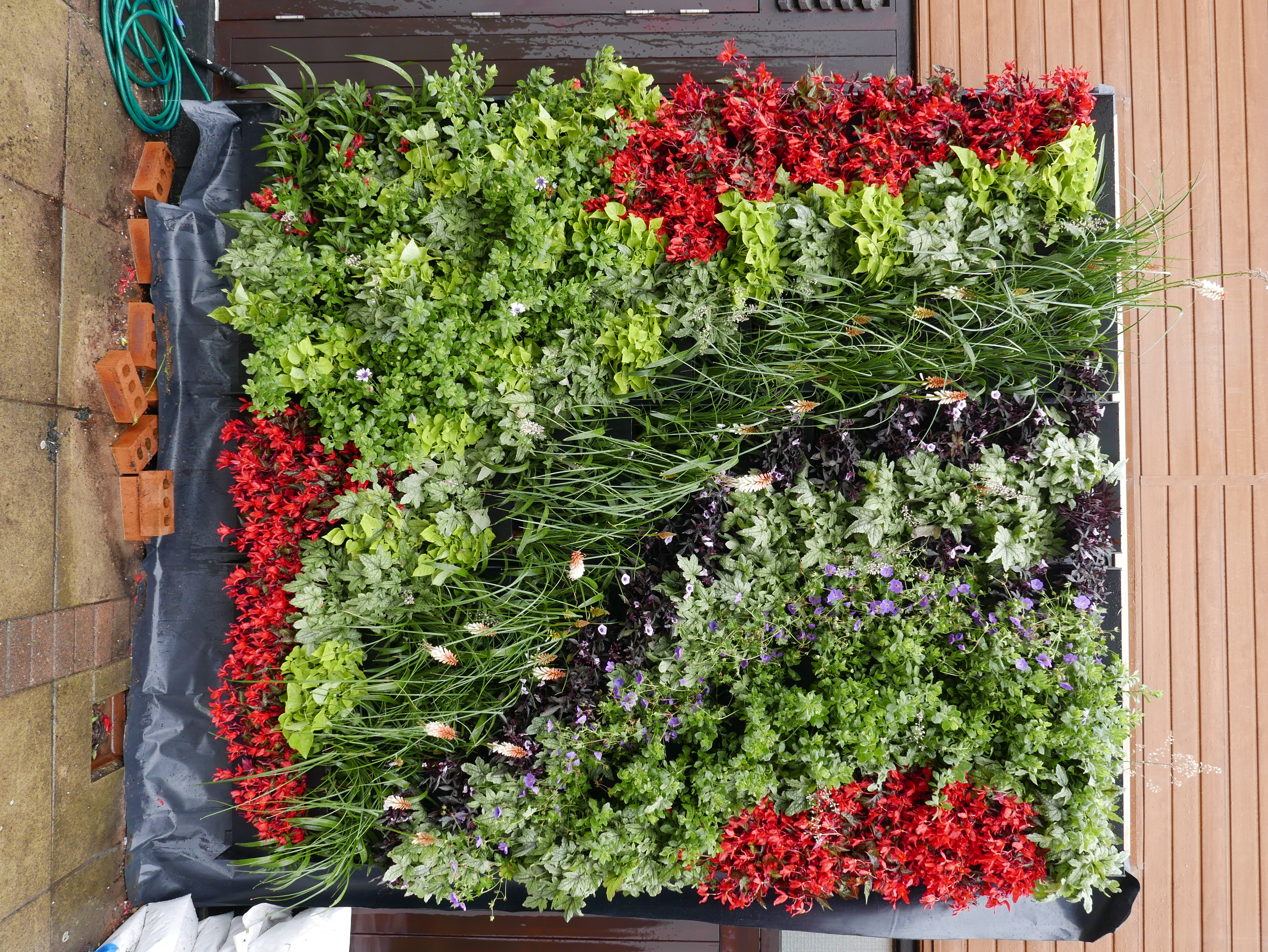 Myerscough College Horticulture Scholarship