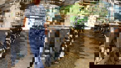 Image for news article: Myerscough farm Lodges strategic farm status