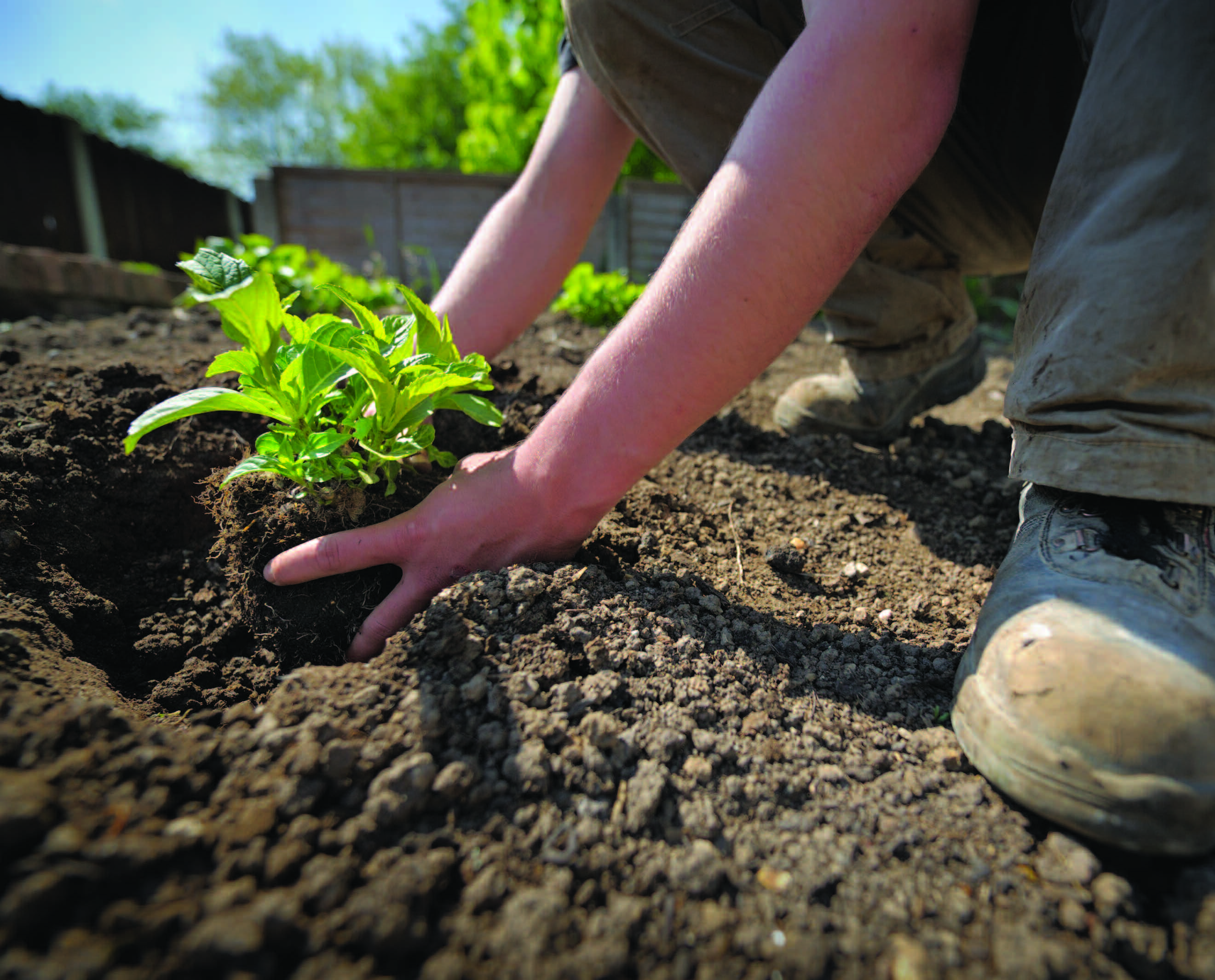 Image for news article: RHS Green Careers Open Day