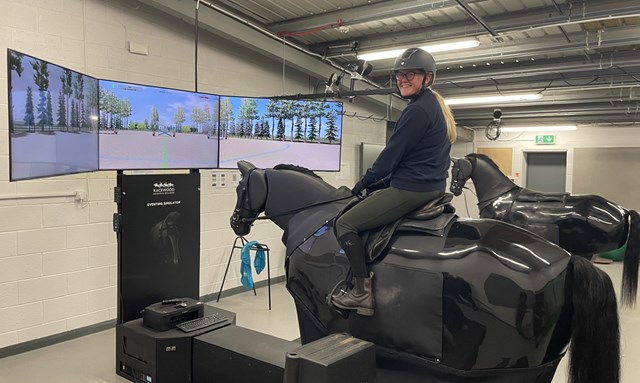 Equine Flo Simulator