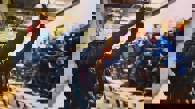 Image for news article: Equine mentoring neigh problem for social media star Harrison