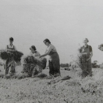 College History Part 4