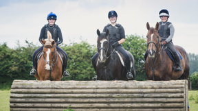 Image for news article: Equine Studies