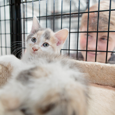 Our new £3m Animal Studies Centre