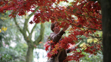 Image for news article: APF Show